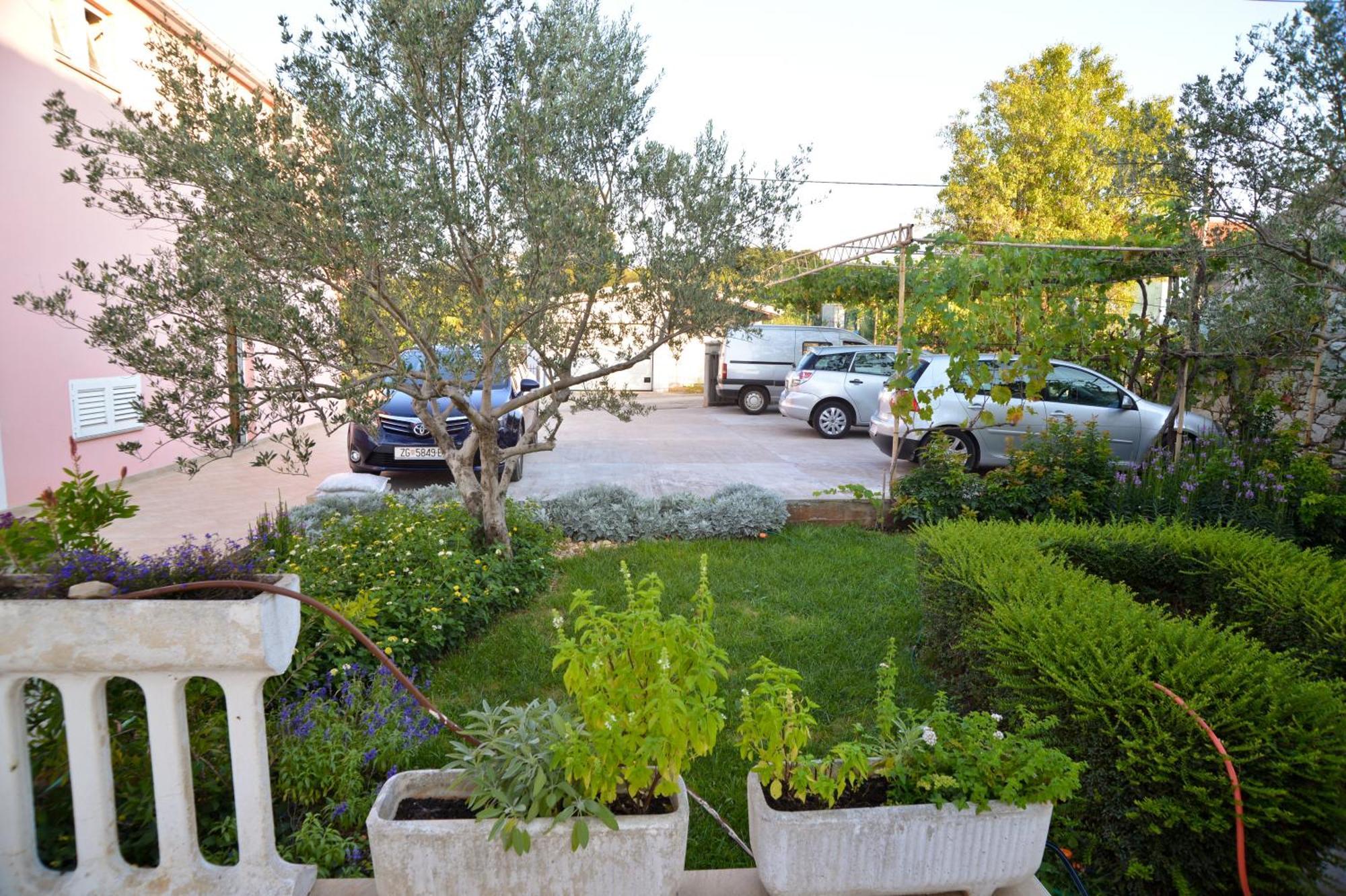 Apartments Lonic Kukljica Δωμάτιο φωτογραφία