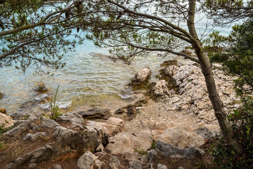 Apartments Lonic Kukljica Εξωτερικό φωτογραφία